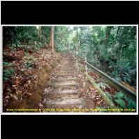 12321 018 Poring Canopa Walkway zu den Haengebruecken Malaysia 2006 Sabah.jpg